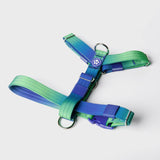 Arnês para cães sem tração com controle de conforto - Lime Wave