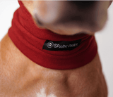 Protetor protetor de ouvido para cães calmante para ansiedade - Vermelho