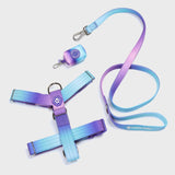 Conjunto de arreios para cães sem puxão com controle de conforto - 90s Retro