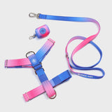 Conjunto de arreios para cães sem tração com controle de conforto - Cone de Neve