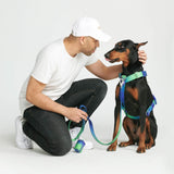 Arnês para cães sem tração com controle de conforto - Lime Wave