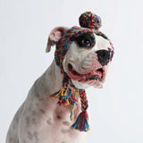 Gorro de tricô pom pom para cachorro - Caleidoscópio