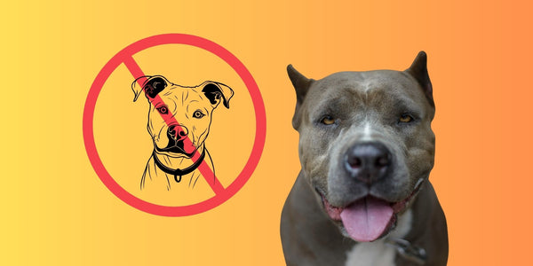 Why Pitbulls Should Not Be Banned