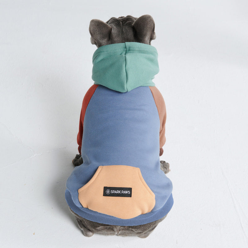 Alpine Hoodie