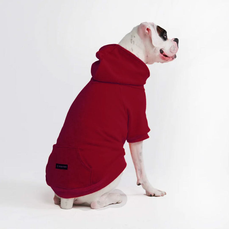 Casaco com capuz Essential Dog - Borgonha
