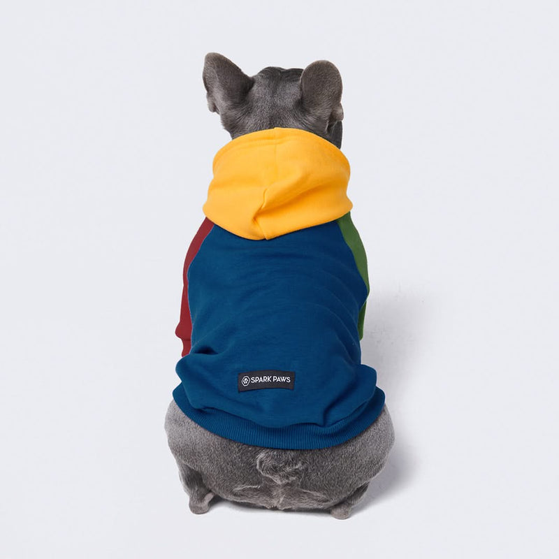 Moletom com capuz para cães em cores primárias