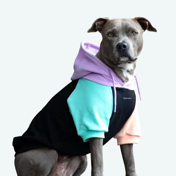 Moletom com Capuz para Cão Punk Cibernético