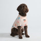 Seashell Shirt||size:2XL,3XL