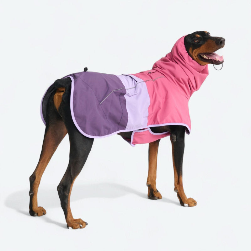 Capa de chuva para cães Breatheshield™ - Amarelo mostarda