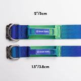 Conjunto de coleiras táticas para cães - Lime Wave (2"/5cm)