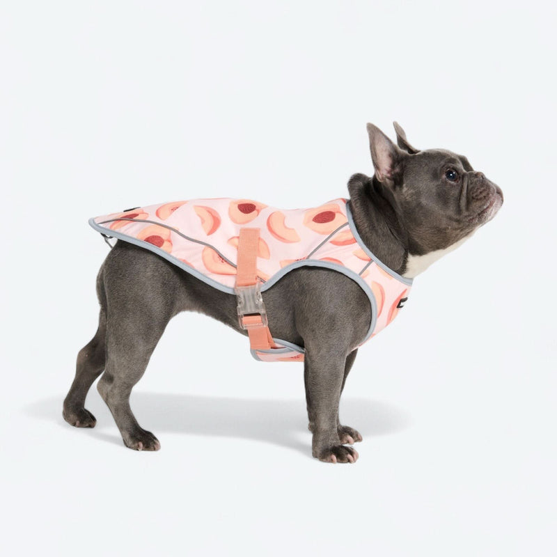 Colete refrescante para cães - Tempestade Tropical