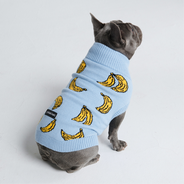 Banana Knit Dog Sweater