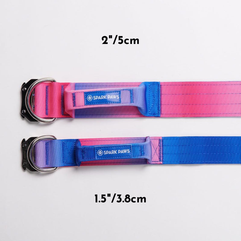 Conjunto de Coleira Tática para Cachorros - Cone de Neve (2"/5cm)