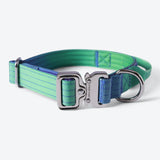 Conjunto de coleiras táticas para cães - Lime Wave (2"/5cm)