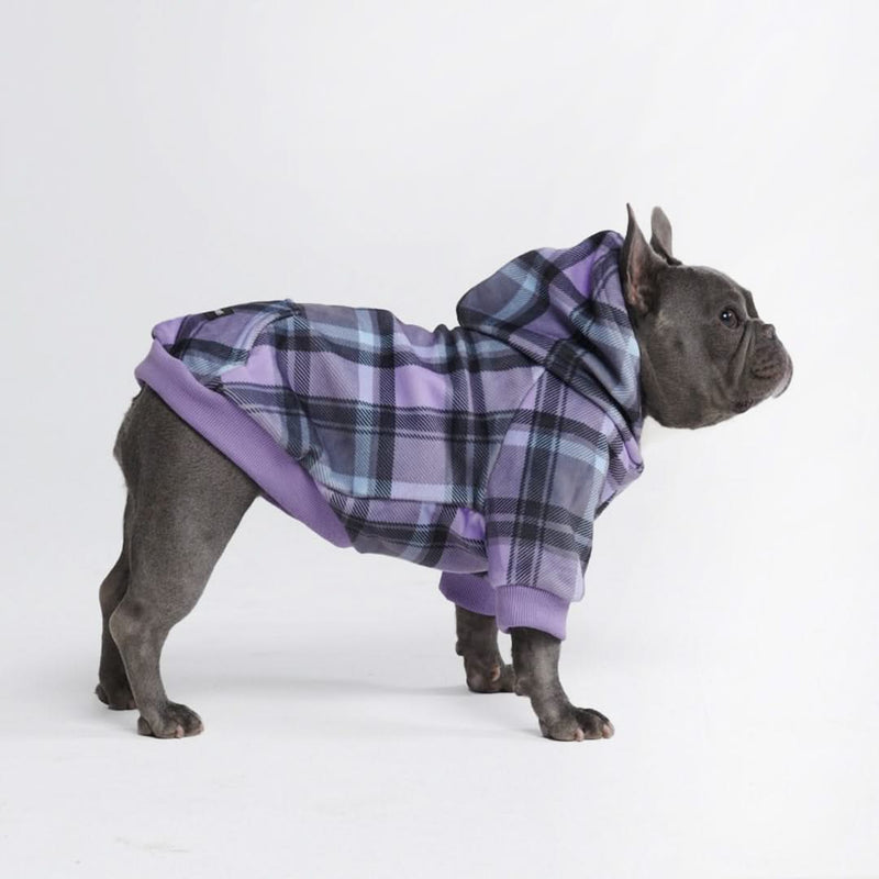 Moletom xadrez roxo para cachorro