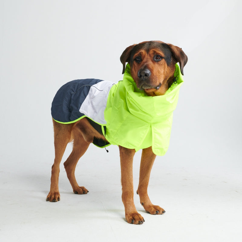 Capa de chuva para cães Breatheshield™ - Branco limão marinho