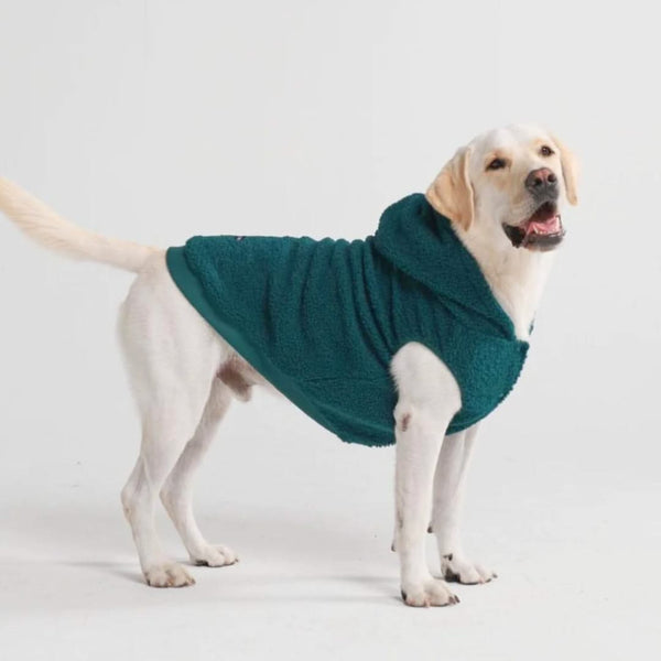 Jaqueta Teddy Sherpa Dog - Verde Pinho