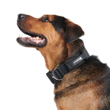 Conjunto de Coleira Tática para Cachorros - Preto (2"/5cm)