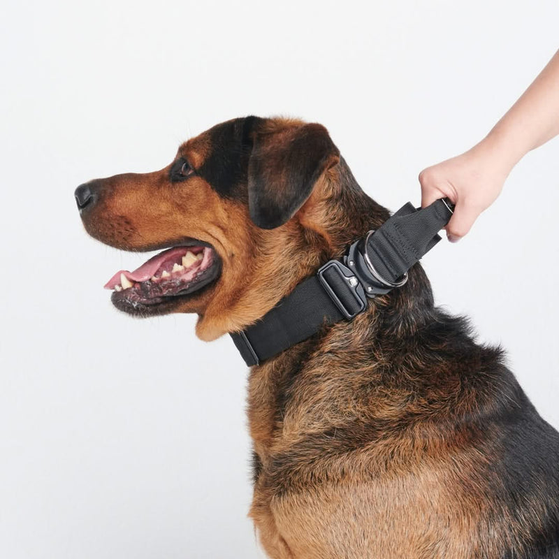 Conjunto de Coleira Tática para Cachorros - Preto (2"/5cm)