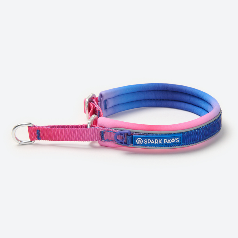 Snow Cone Martingale Collar||size:A,B