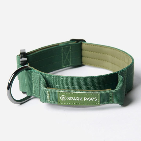 Coleira Tática para Cachorros - Verde Exército (2"/5cm)