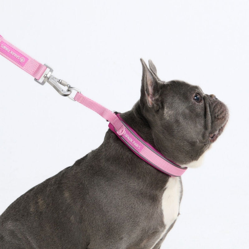 Pink Martingale Collar||size:A,B