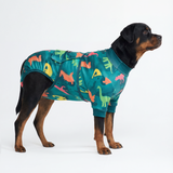 Dinosaurs Surgical Suit||size:5XL