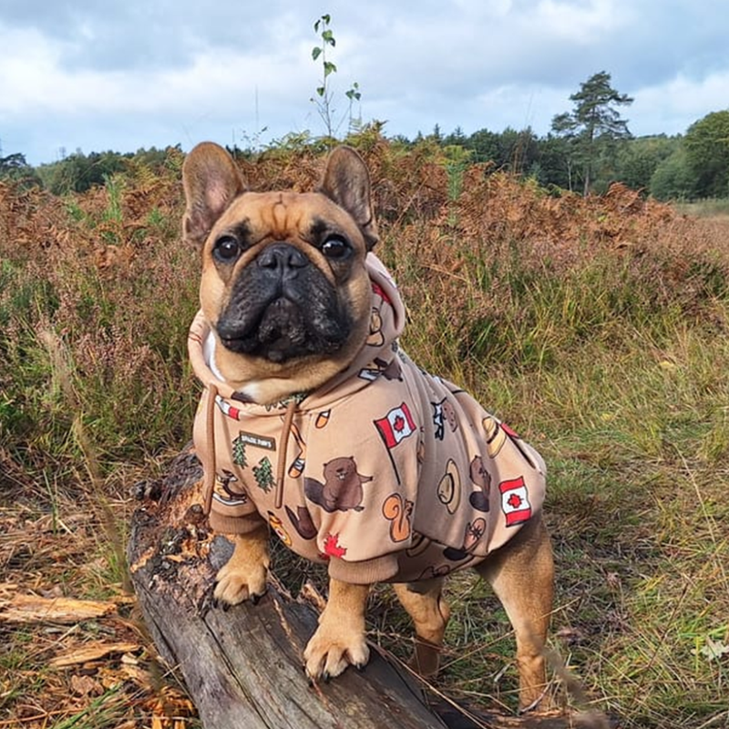 size:S,M,L,XL,2XL,3XL,4XL,5XL