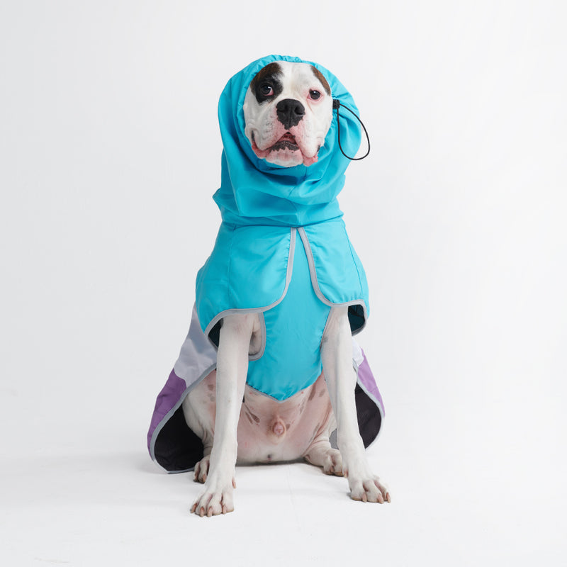 Capa de chuva para cachorro Breatheshield™ - Teal White Purple