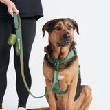 Conjunto de arreios para cães sem puxão com controle de conforto - Verde Militar