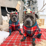 Pijama de Cachorro - Xadrez Verde e Vermelho