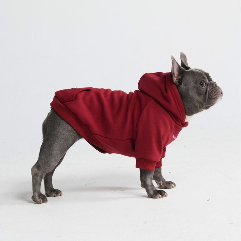 Casaco com capuz Essential Dog - Borgonha