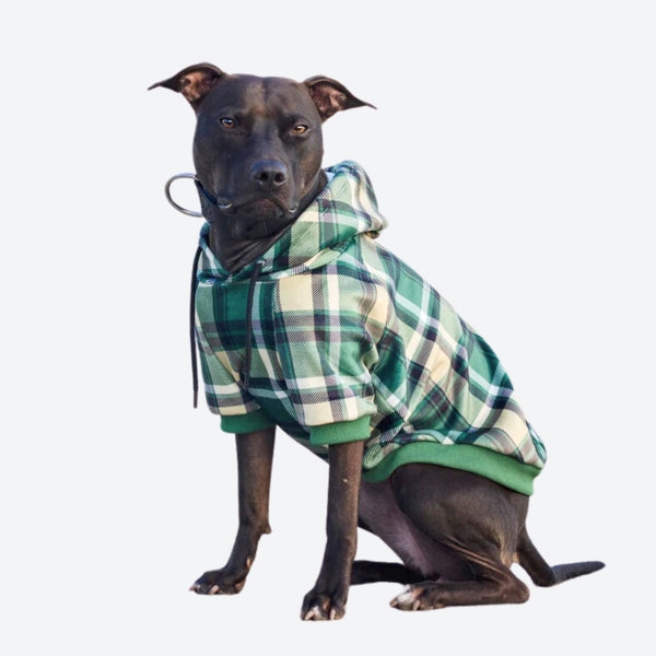 Moletom xadrez verde para cachorro