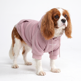 Casaco com capuz Essential Dog - Purple Taupe