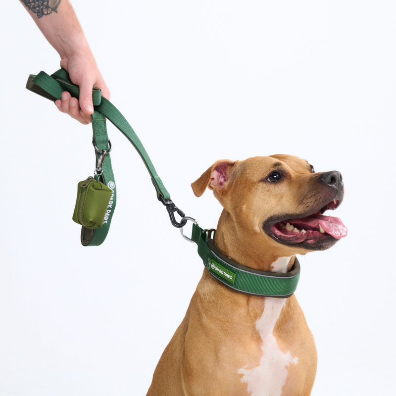 Green Collar||size:C,D,E