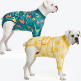 Dinosaurs and Sunshine||size:3XL,4XL
