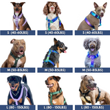 Arnês para cães sem tração com controle de conforto - Cone de Neve