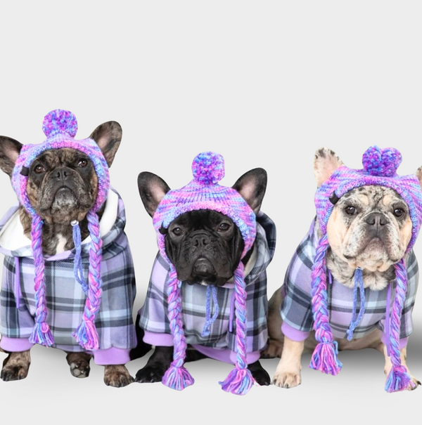 Moletom xadrez roxo para cachorro