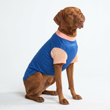 Blue Haiwaiian Shirt||size:2XL,3XL