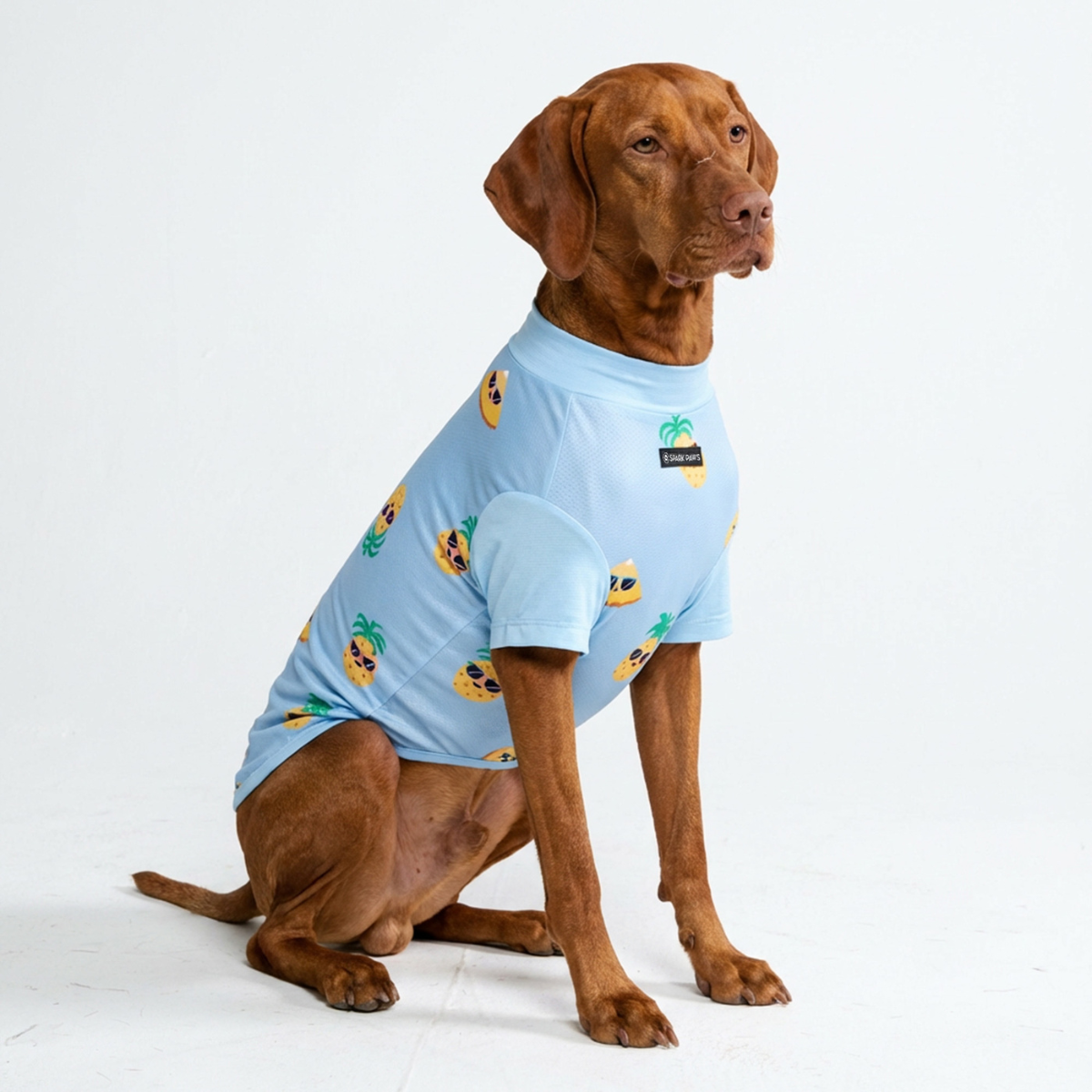 Dog T-Shirt – SPARK PAWS