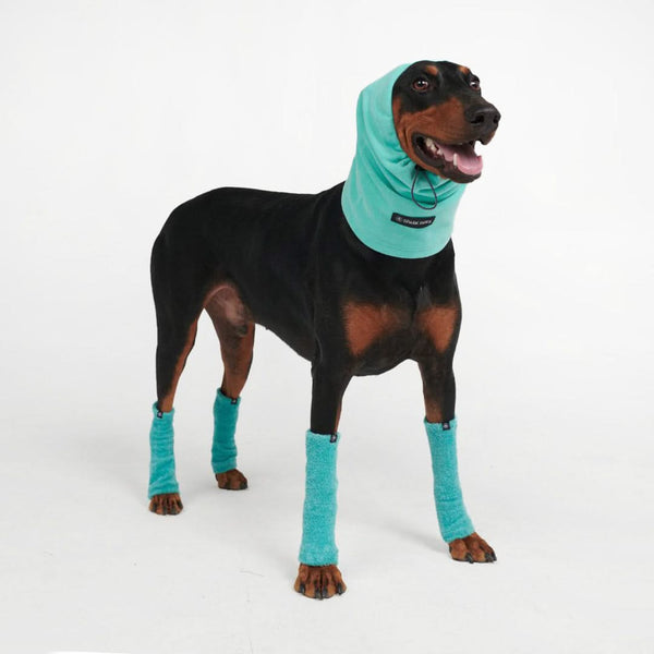 Anxiety Calming Dog Earmuff Protector - Turquoise