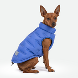 Blue Thermosonic Winter Jacket||size:S