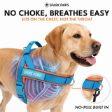 Teal Apricot Grab and Go||size:1,2,3,4,5,6