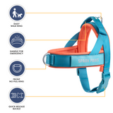 Teal Apricot Grab and Go||size:1,2,3,4,5,6