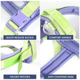Violet Lime Grab and Go||size:1,2,3,4,5,6