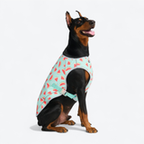 Watermelon Cooling Vest||size:4XL