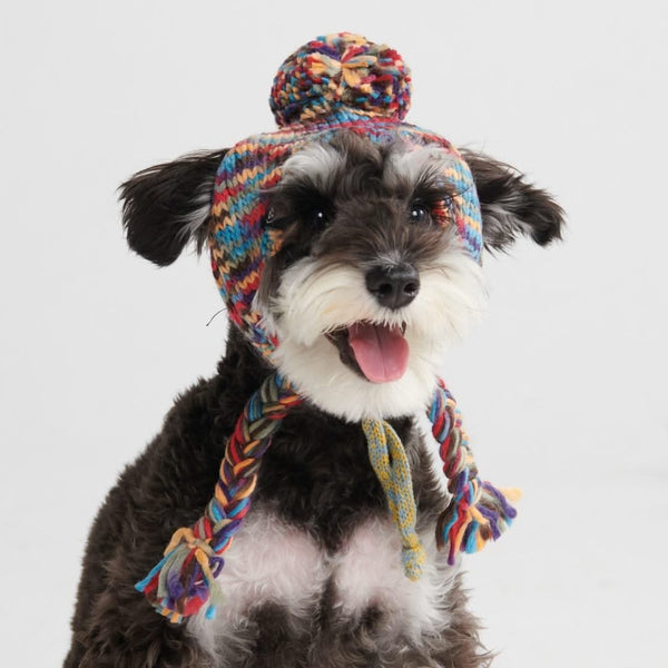 Gorro de tricô pom pom para cachorro - Caleidoscópio