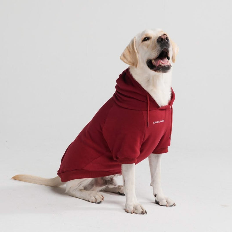 Casaco com capuz Essential Dog - Borgonha