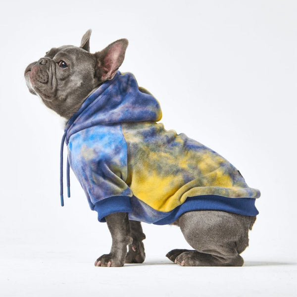 Moletom de veludo para cachorro - Nova