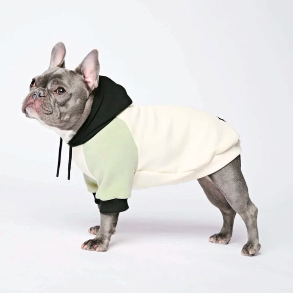 Moletom para cachorro creme verde-oliva